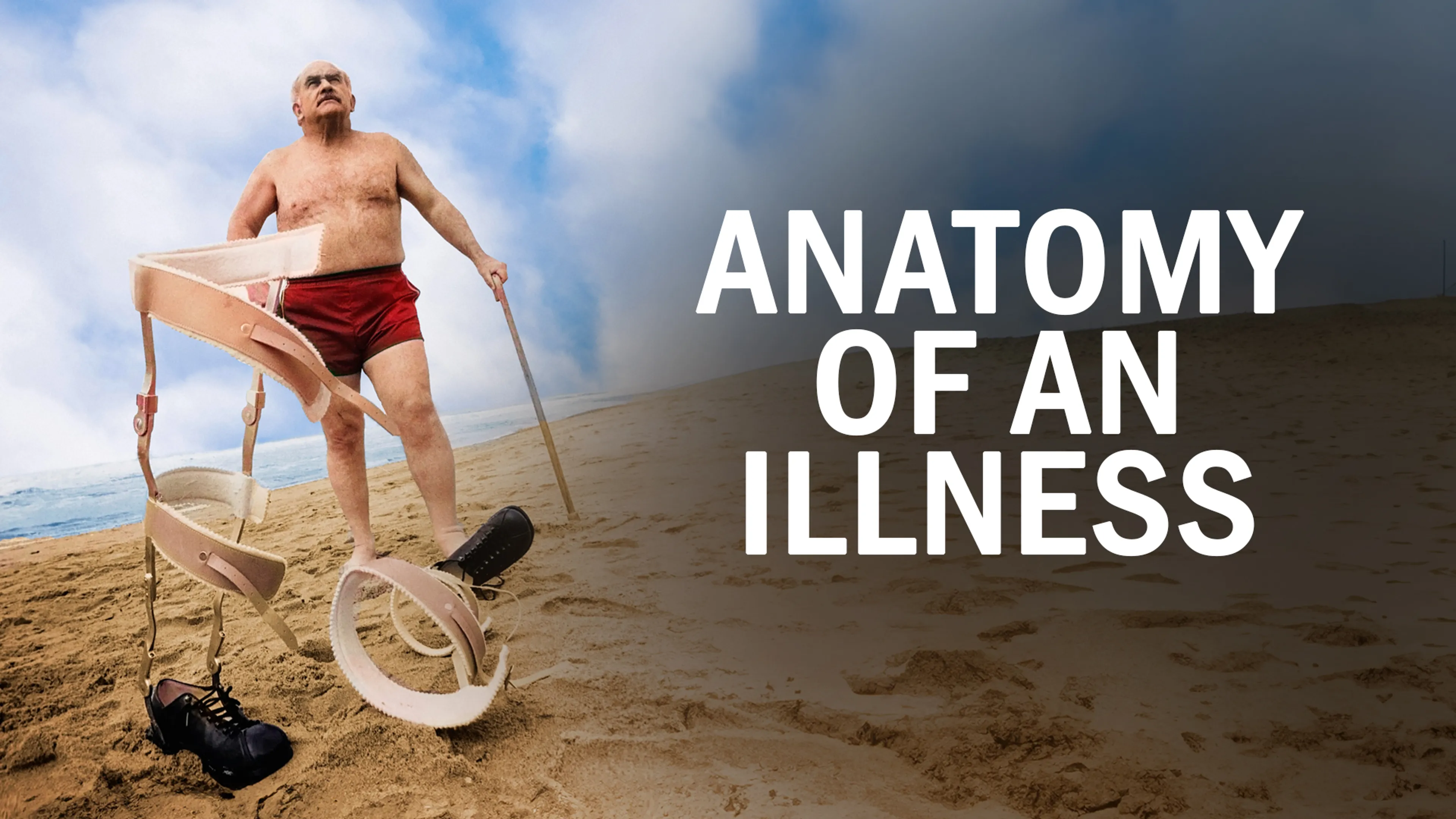 Anatomy of An Illness poster